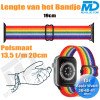 Bandje voor Apple Watch - Geschikt Voor Apple Watch 38 mm 40 mm 41 mm - Regenboog Zwart
